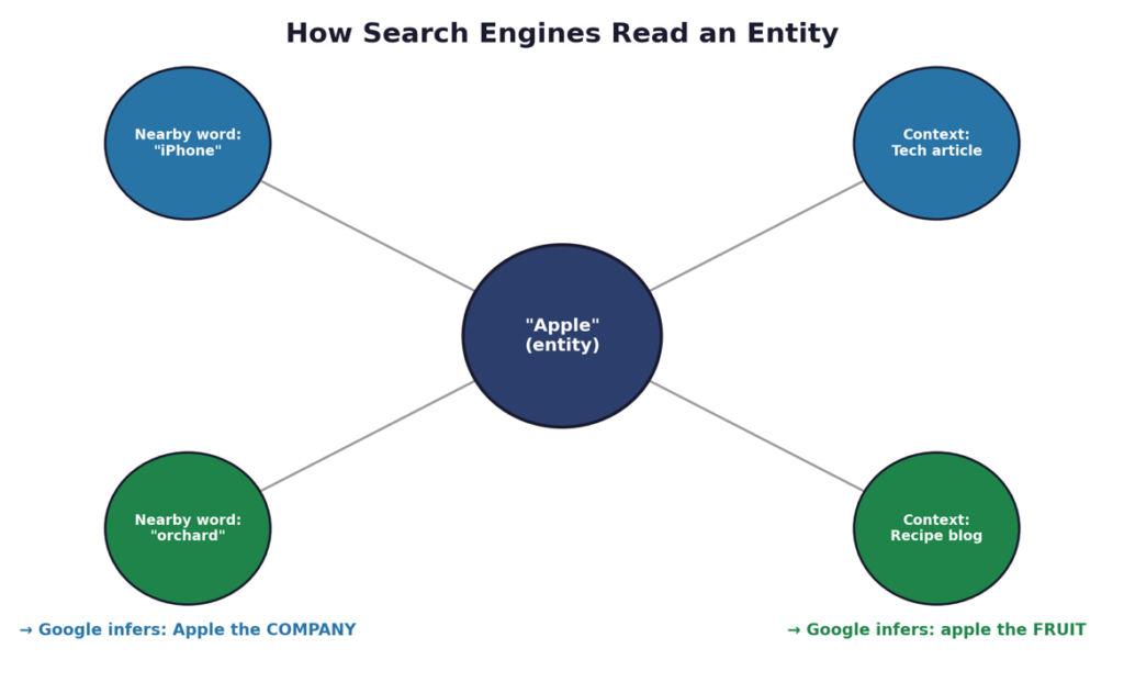 how-search-engines-read-an-entity
